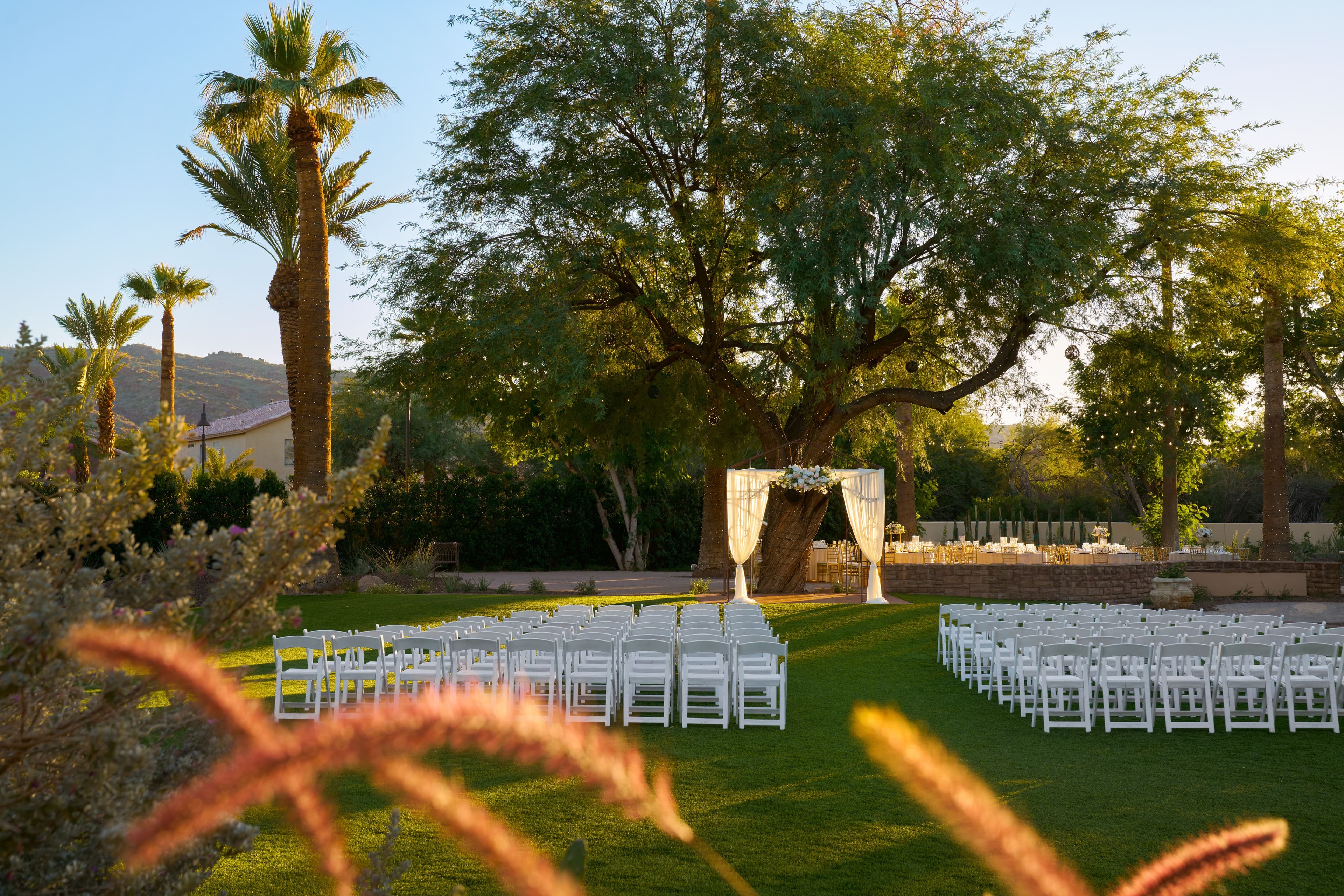 Social media image 3