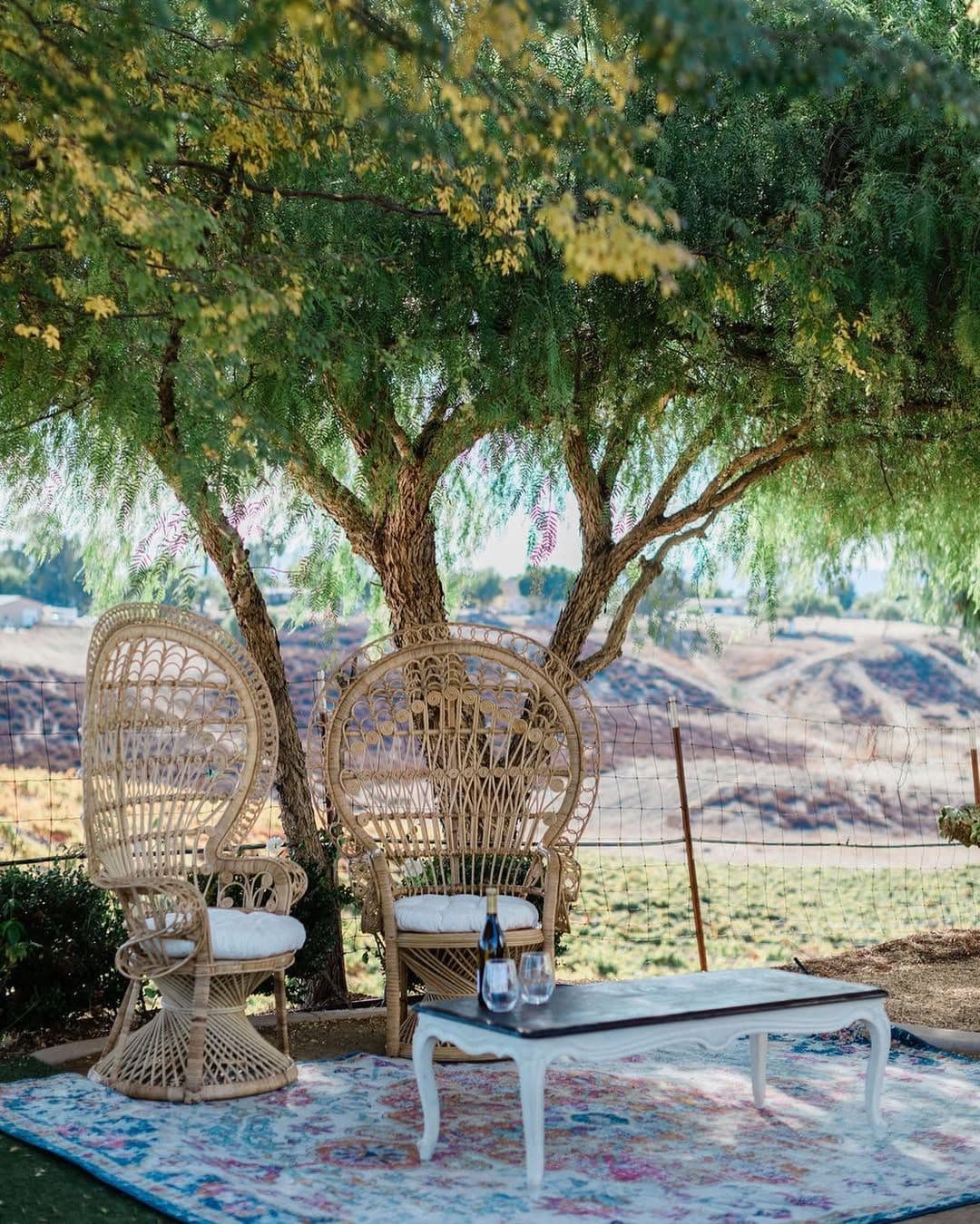 Social media image 6