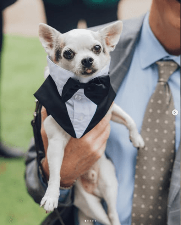 Social media image 5